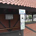 DSC_0084_01 (August 23, 2020)